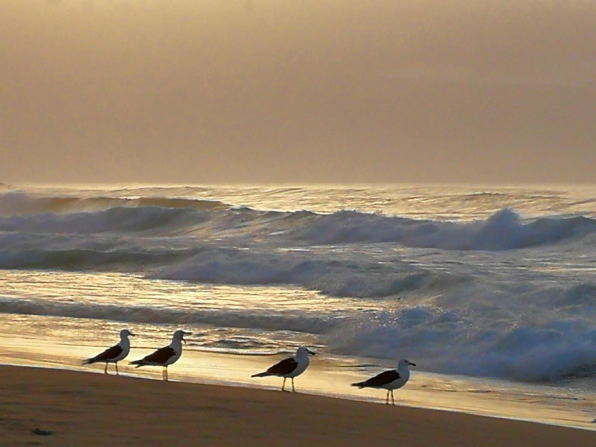 Jojo'S Bnb Mossel Bay Eksteriør bilde